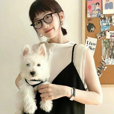 不可征服